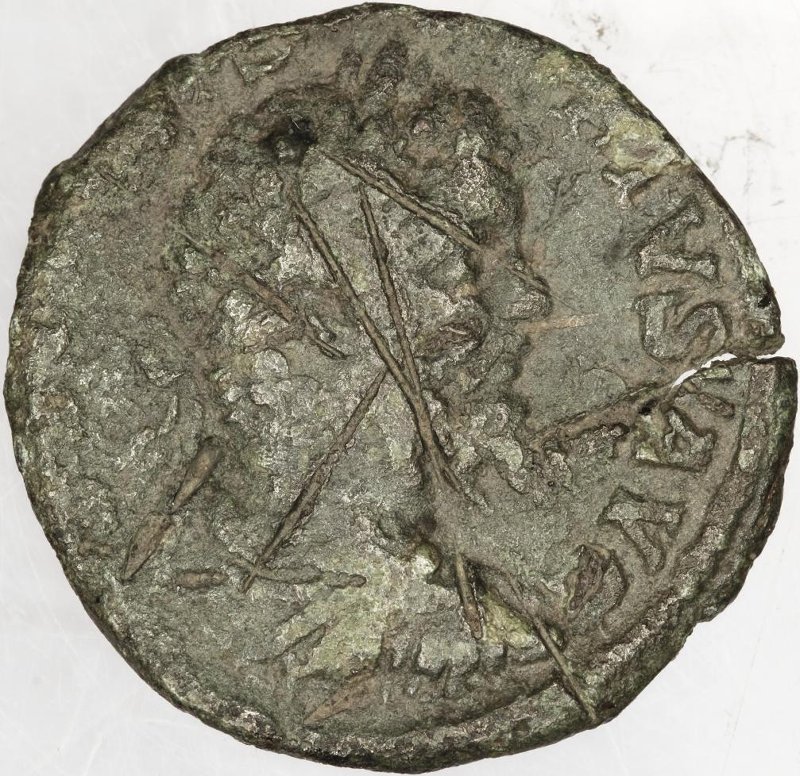 Римская империя · Septimius Severus · As · II в., аверс, Федеральное государственное бюджетное учреждение культуры "Государственный музей изобразительных искусств имени А.С. Пушкина"