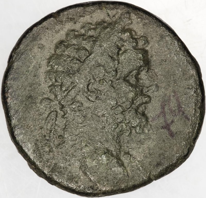 Римская империя · Septimius Severus · Sestertius · I в., аверс, Федеральное государственное бюджетное учреждение культуры "Государственный музей изобразительных искусств имени А.С. Пушкина"