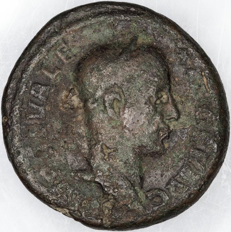 Римская империя · Severus Alexander · As · II в., аверс, Федеральное государственное бюджетное учреждение культуры "Государственный музей изобразительных искусств имени А.С. Пушкина"