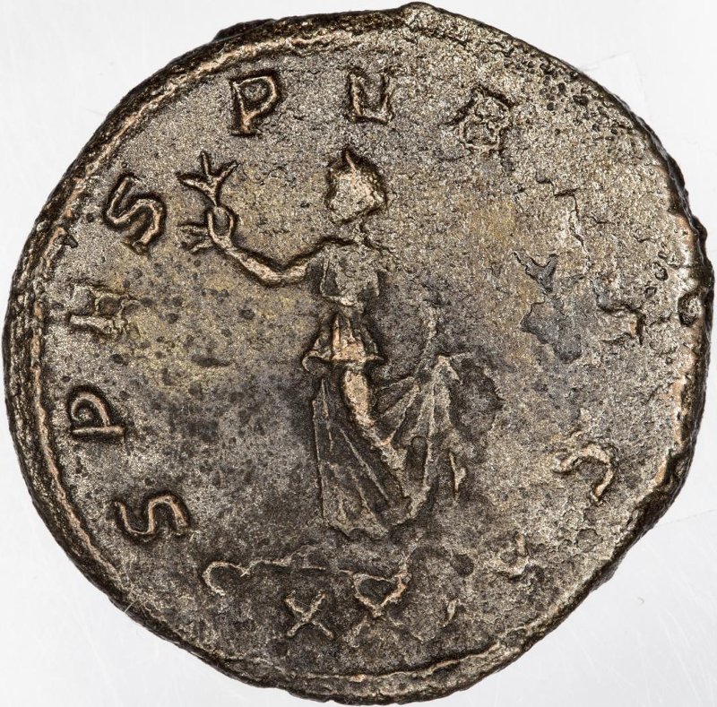 Римская империя · Carus · Antoninianus · II в., реверс, Федеральное государственное бюджетное учреждение культуры "Государственный музей изобразительных искусств имени А.С. Пушкина"