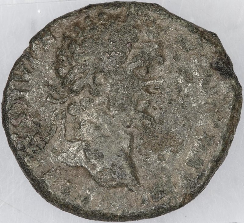 Римская империя · Septimius Severus · Denarius · I в., аверс, Федеральное государственное бюджетное учреждение культуры "Государственный музей изобразительных искусств имени А.С. Пушкина"