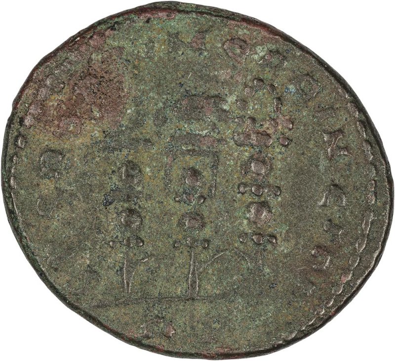 Римская империя · Maximinus Daia · III в., реверс, Федеральное государственное бюджетное учреждение культуры "Государственный музей изобразительных искусств имени А.С. Пушкина"