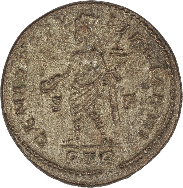 Римская империя · Maximinus Daia · Follis · III в., реверс, Федеральное государственное бюджетное учреждение культуры "Государственный музей изобразительных искусств имени А.С. Пушкина"