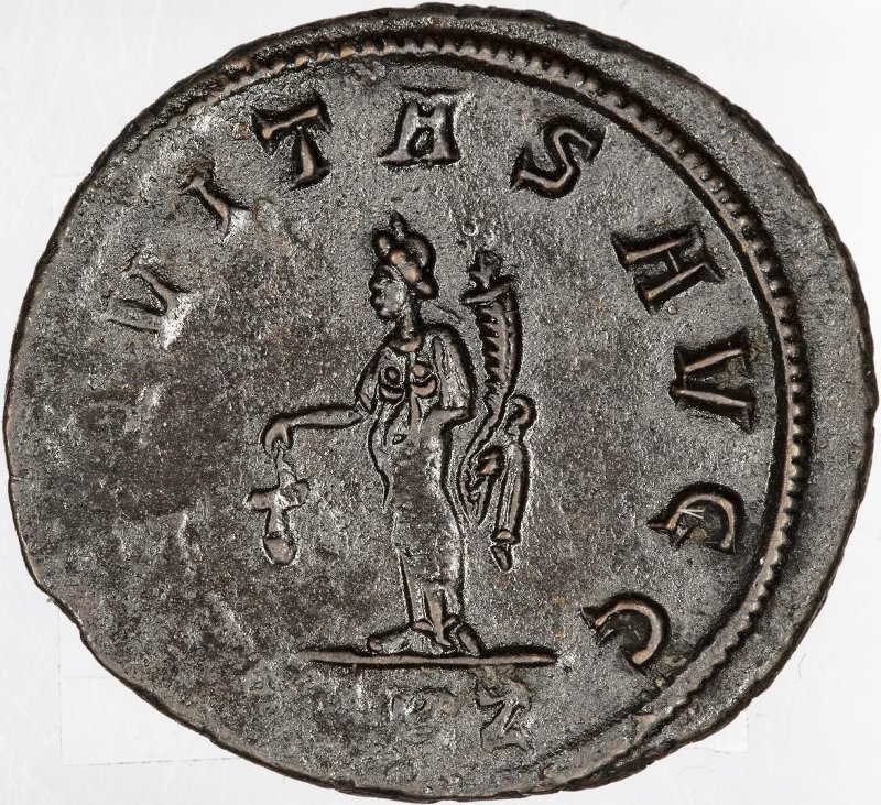 Римская империя · Carinus · Antoninianus · II в., реверс, Федеральное государственное бюджетное учреждение культуры "Государственный музей изобразительных искусств имени А.С. Пушкина"