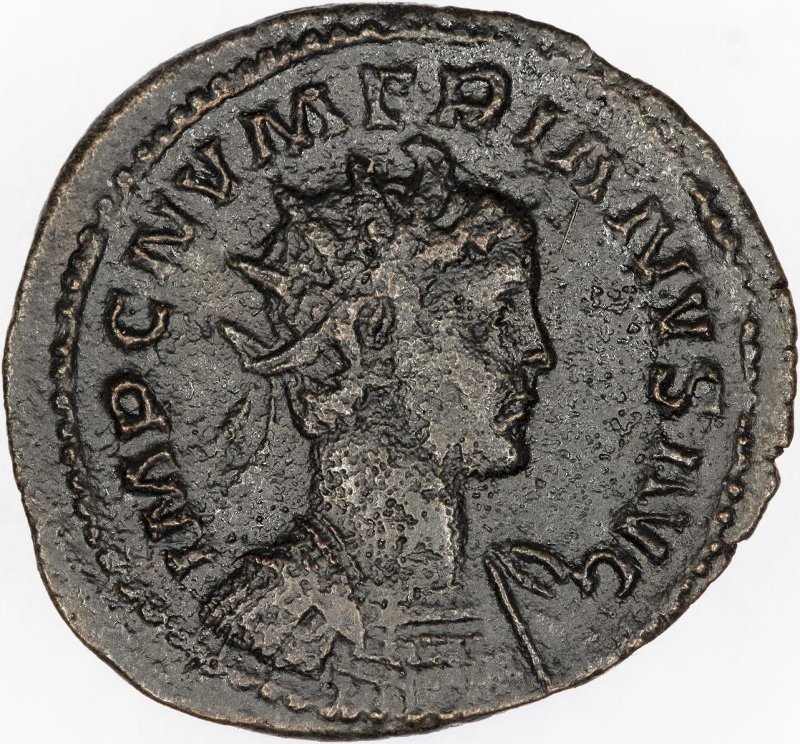 Римская империя · Numerian · Antoninianus · II в., аверс, Федеральное государственное бюджетное учреждение культуры "Государственный музей изобразительных искусств имени А.С. Пушкина"