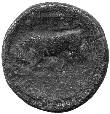 Греция · Agathocles of Syracuse · IV в. до н. э., реверс, Федеральное государственное бюджетное учреждение культуры "Государственный музей изобразительных искусств имени А.С. Пушкина"