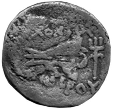 Боспор · Asander of Bosporus · Obol · I в. до н. э., аверс, Федеральное государственное бюджетное учреждение культуры "Государственный музей изобразительных искусств имени А.С. Пушкина"