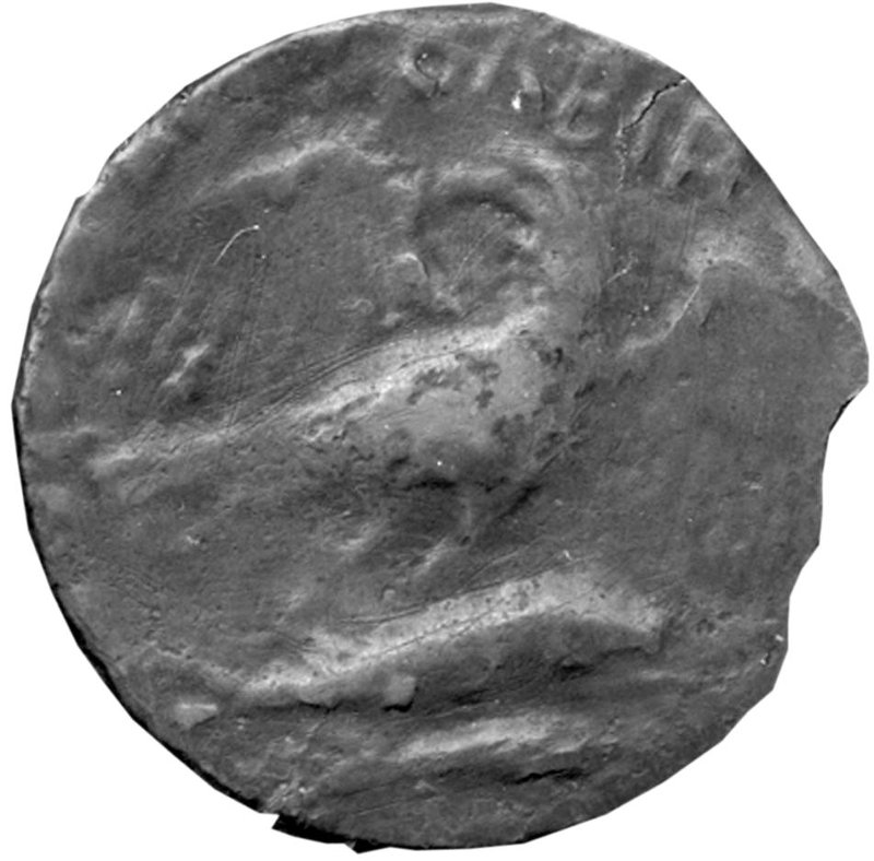coin rev