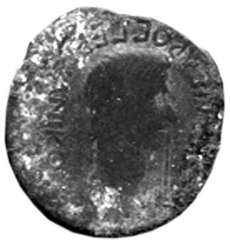 Боспор · Aspurgus of Bosporus · Assarion · I в., аверс, Федеральное государственное бюджетное учреждение культуры "Государственный музей изобразительных искусств имени А.С. Пушкина"