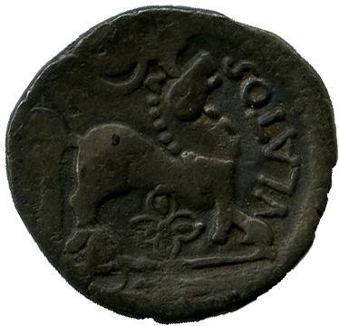 coin rev
