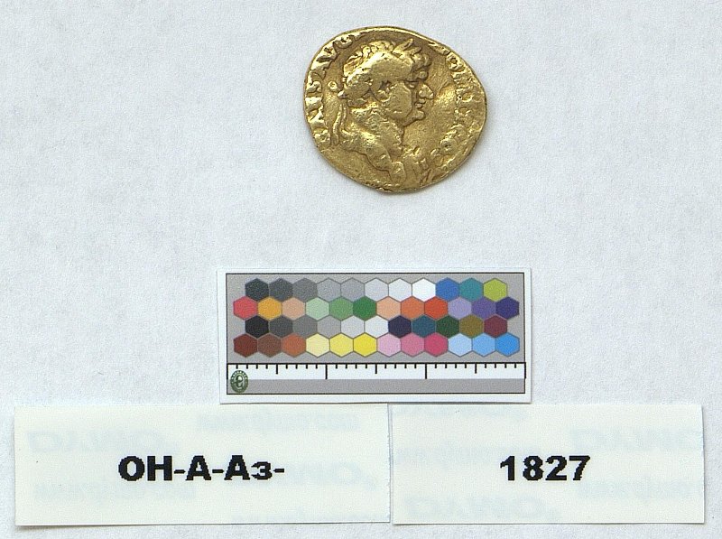 Римская империя · Domitian · Aureus · I в., Федеральное государственное бюджетное учреждение культуры "Государственный Эрмитаж"