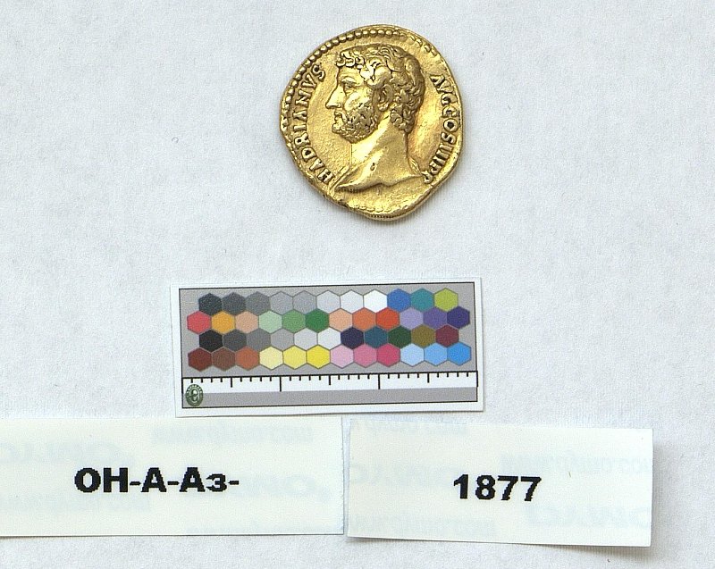 RIC II Hadrian 424, Государственный Эрмитаж