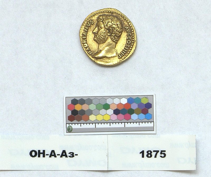 RIC II Hadrian 424, Государственный Эрмитаж