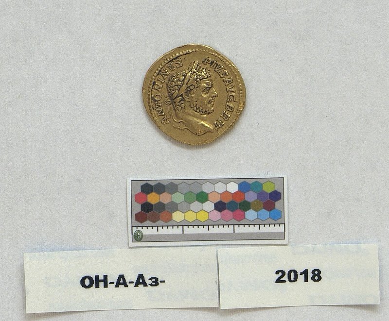 RIC IV Caracalla 133a, Государственный Эрмитаж