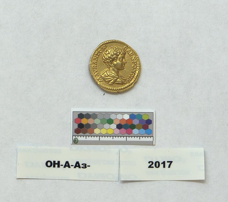 RIC IV Caracalla 133a, Государственный Эрмитаж