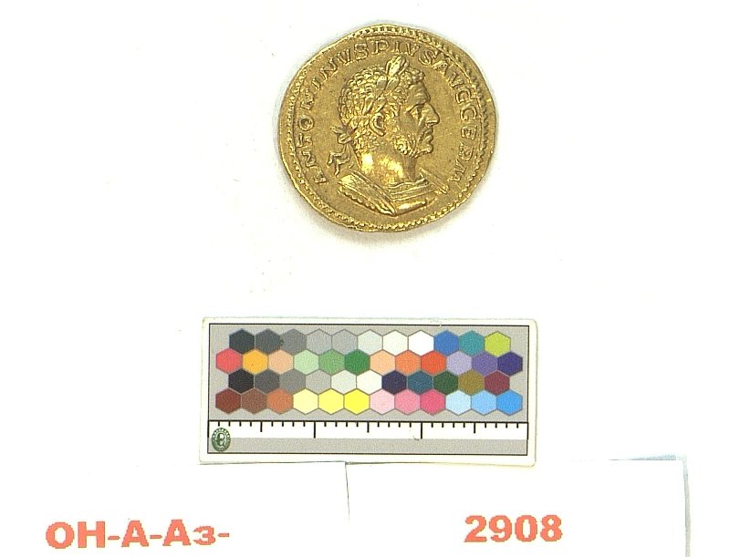 RIC IV Caracalla 133a, Государственный Эрмитаж