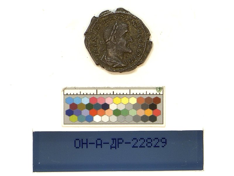Римская империя · Maximinus Thrax · II в., Федеральное государственное бюджетное учреждение культуры "Государственный Эрмитаж"