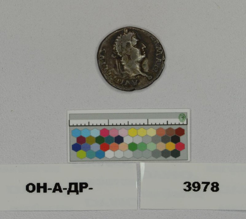 Римская империя · Vitellius · I в., Федеральное государственное бюджетное учреждение культуры "Государственный Эрмитаж"