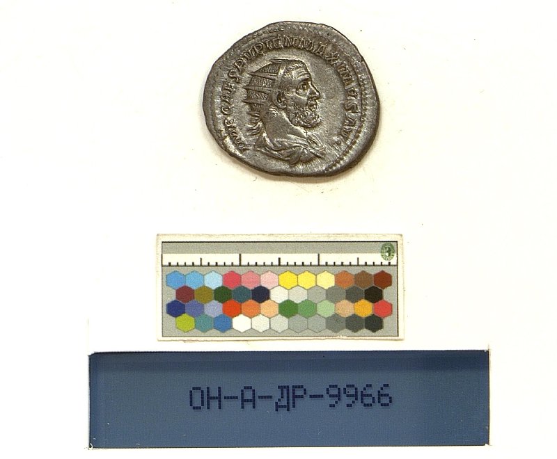 Римская империя · Pupienus · II в., Федеральное государственное бюджетное учреждение культуры "Государственный Эрмитаж"