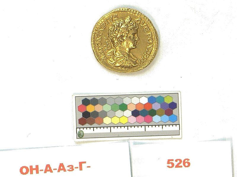 RIC IV Caracalla 133a, Государственный Эрмитаж