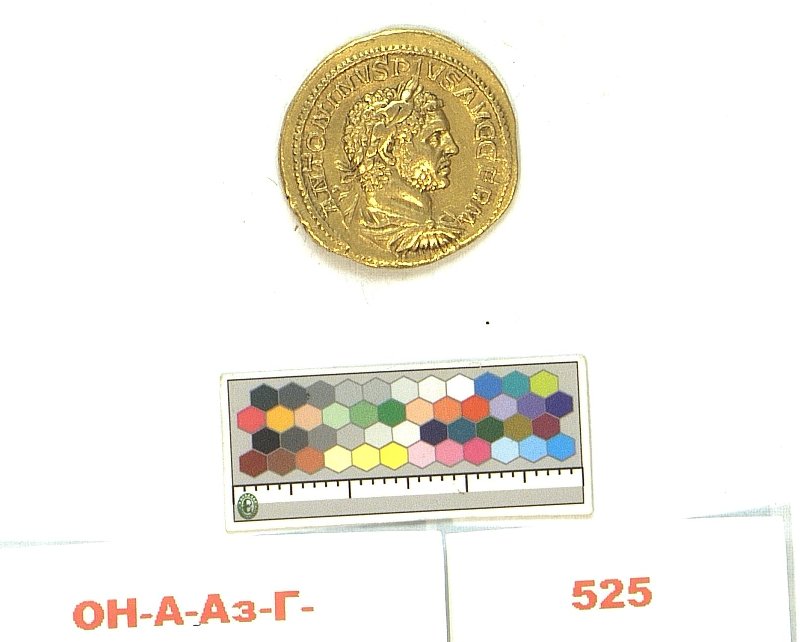 RIC IV Caracalla 133a, Государственный Эрмитаж