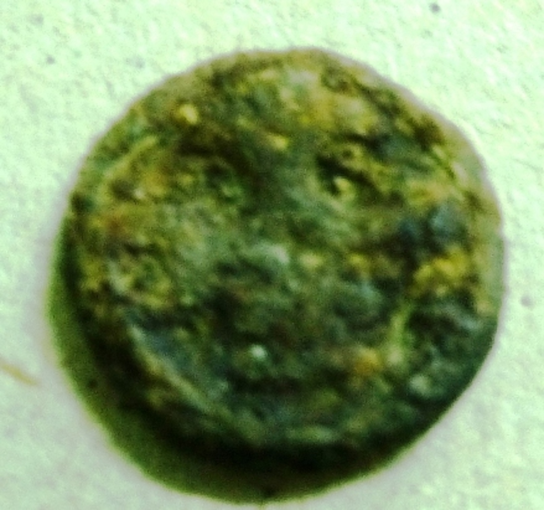 аверс Херсонес · Chersonesus cariae · IX в. · без определения