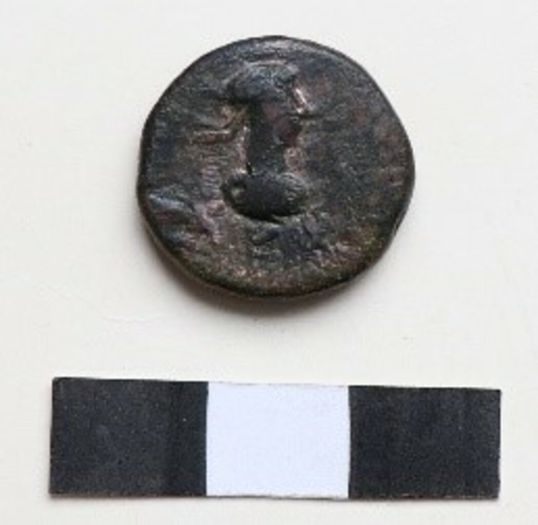 Античная монета · Stater · III в., аверс, Краснодарский государственный историко-археологический музей-заповедник им. Е.Д. Фелицына