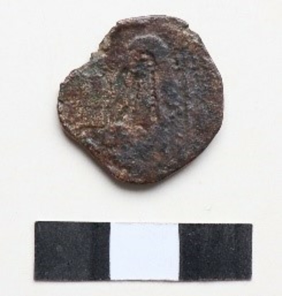 coin rev