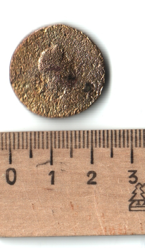 реверс Боспор · Sestertius · I в.