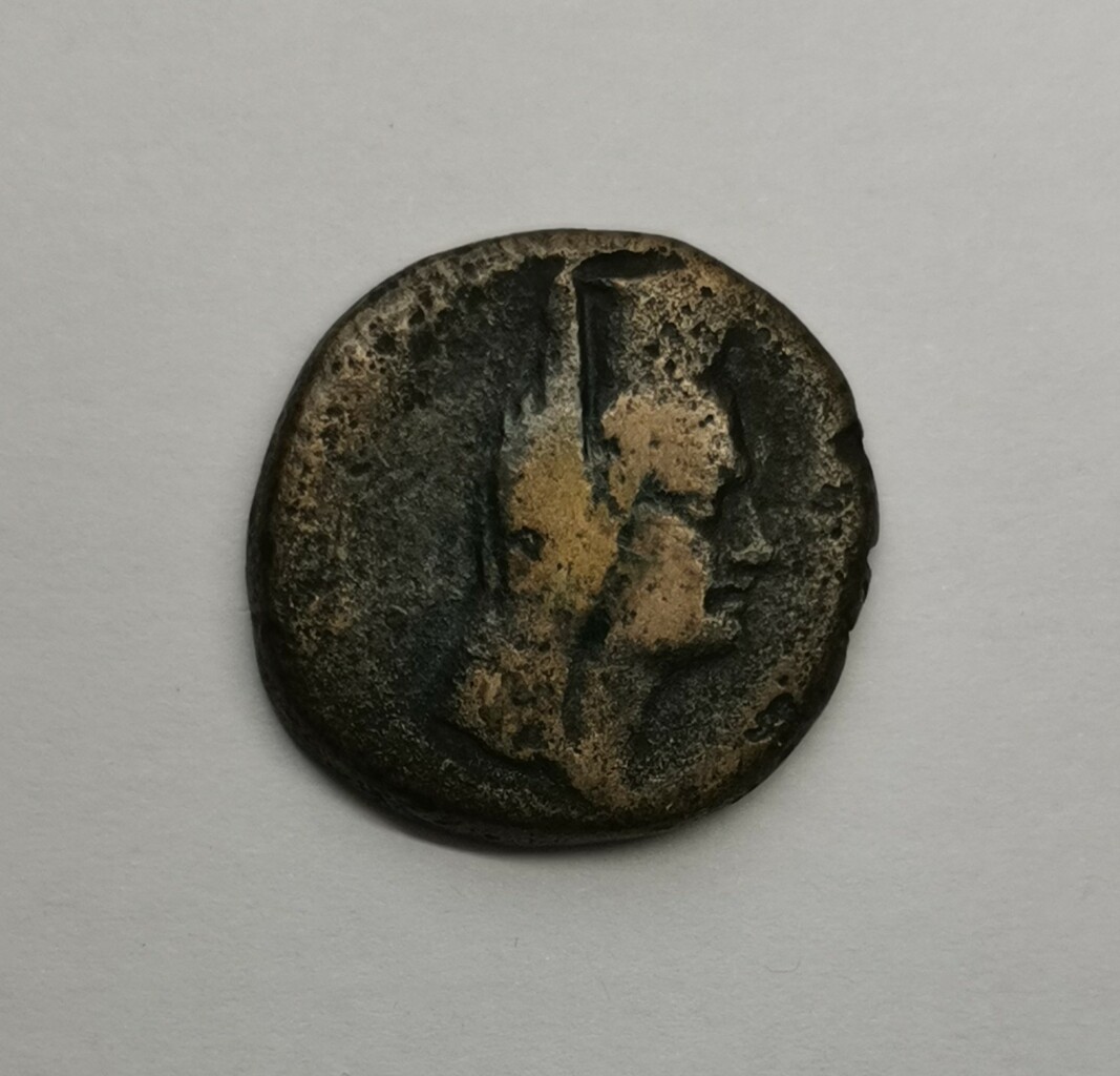 coin rev