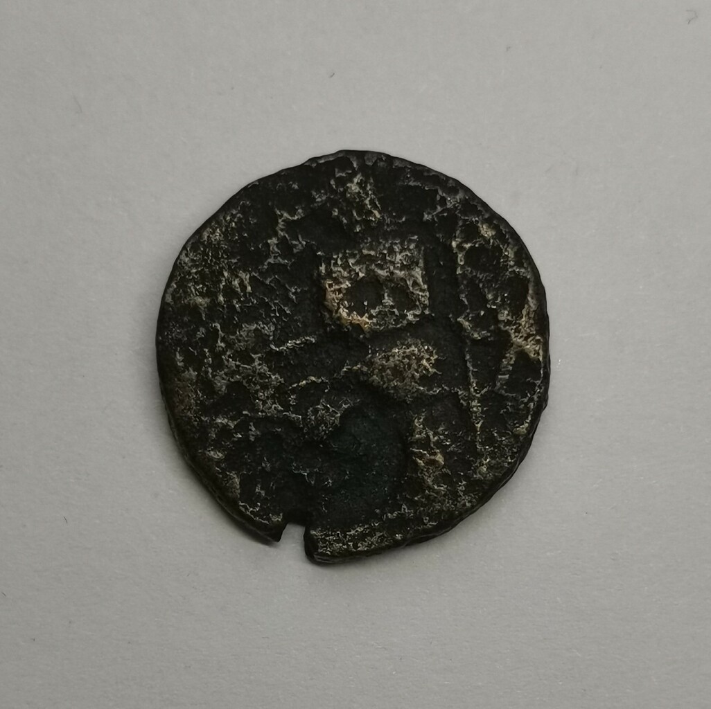coin rev
