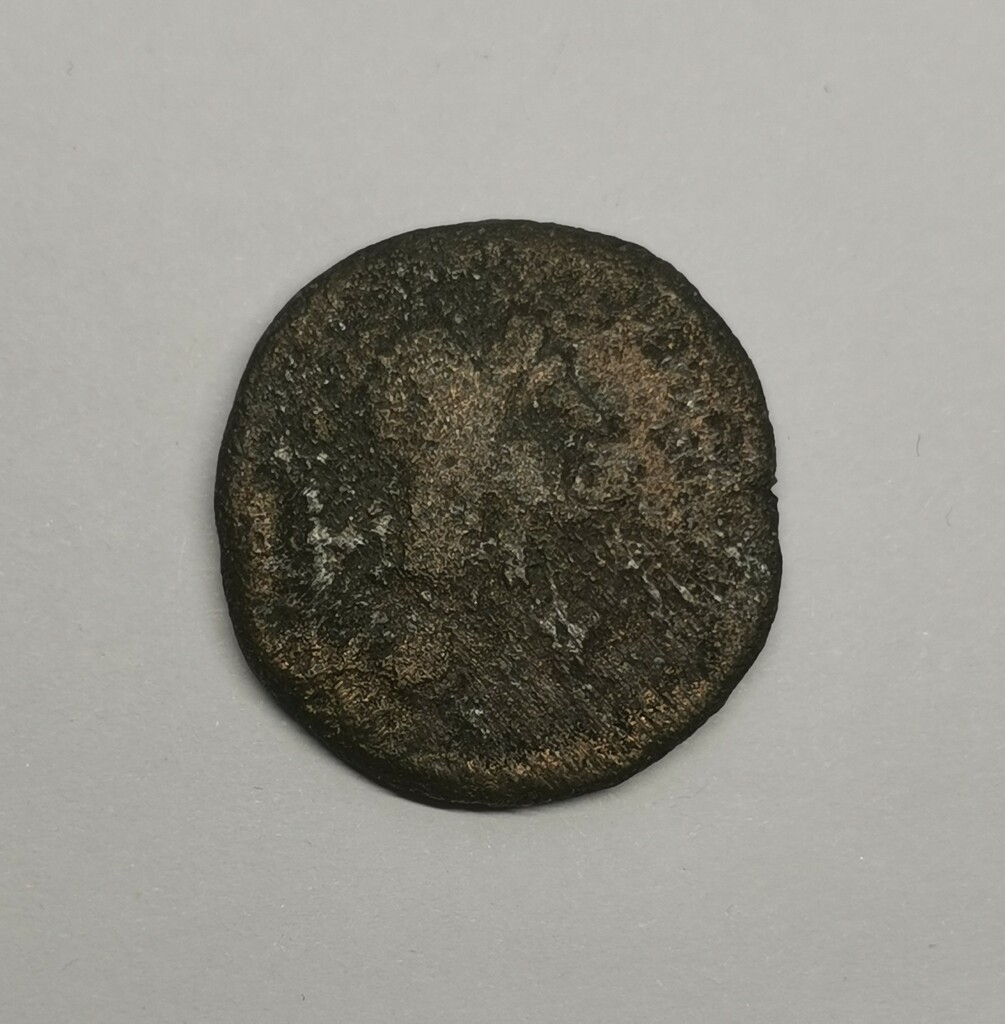 Боспор · Sestertius · I в., аверс, Государственное бюджетное учреждение культуры Краснодарского края "Краснодарский государственный историко-археологический музей-заповедник им. Е.Д. Фелицына"