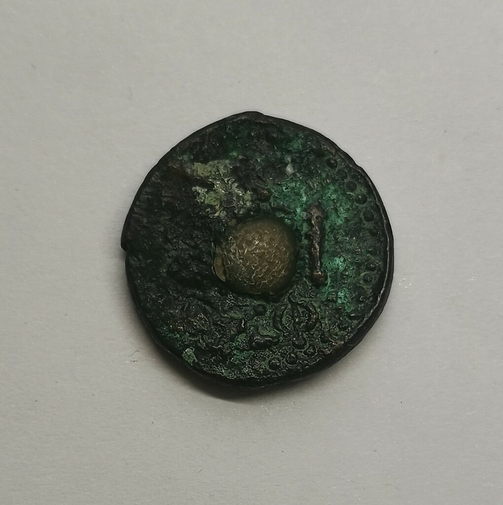 coin rev