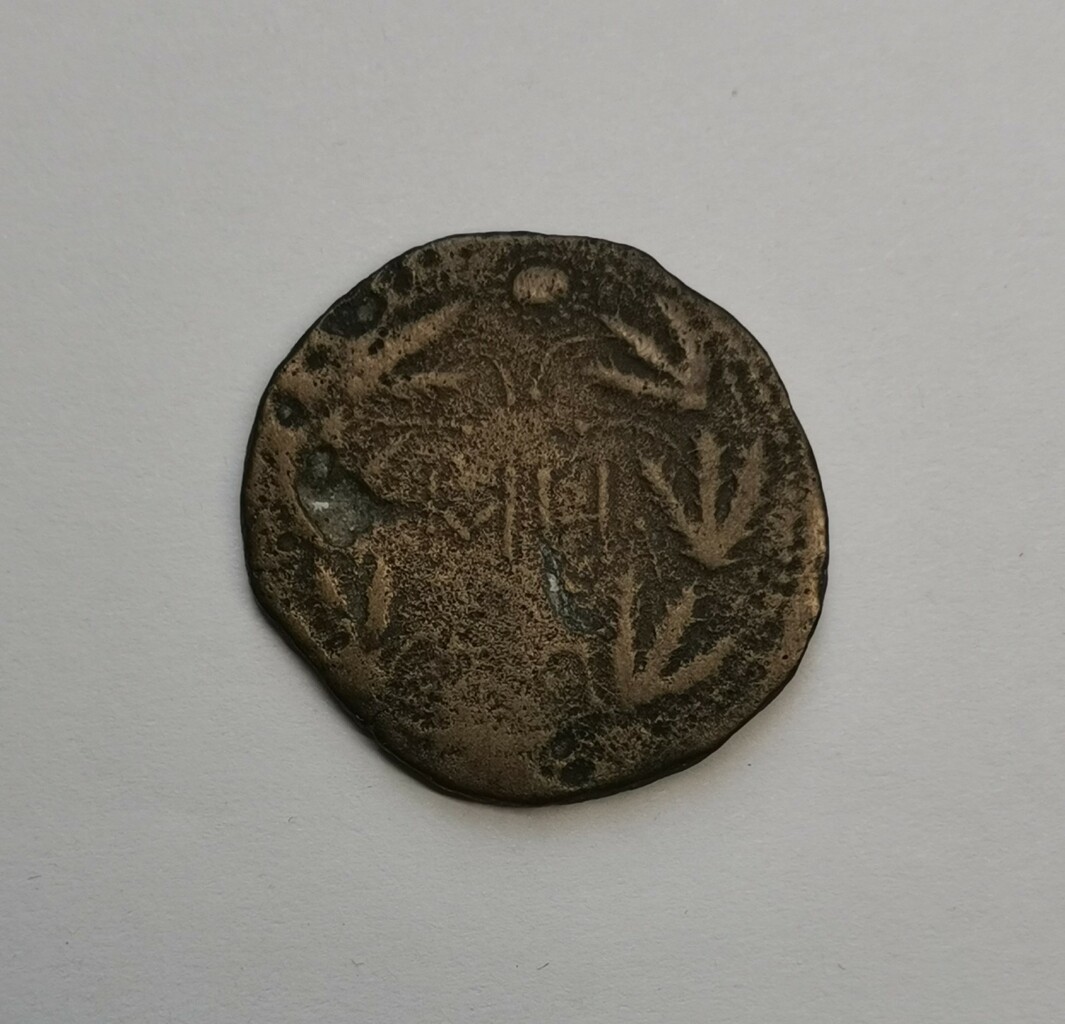 Боспор · Sestertius · I в., аверс, Государственное бюджетное учреждение культуры Краснодарского края "Краснодарский государственный историко-археологический музей-заповедник им. Е.Д. Фелицына"