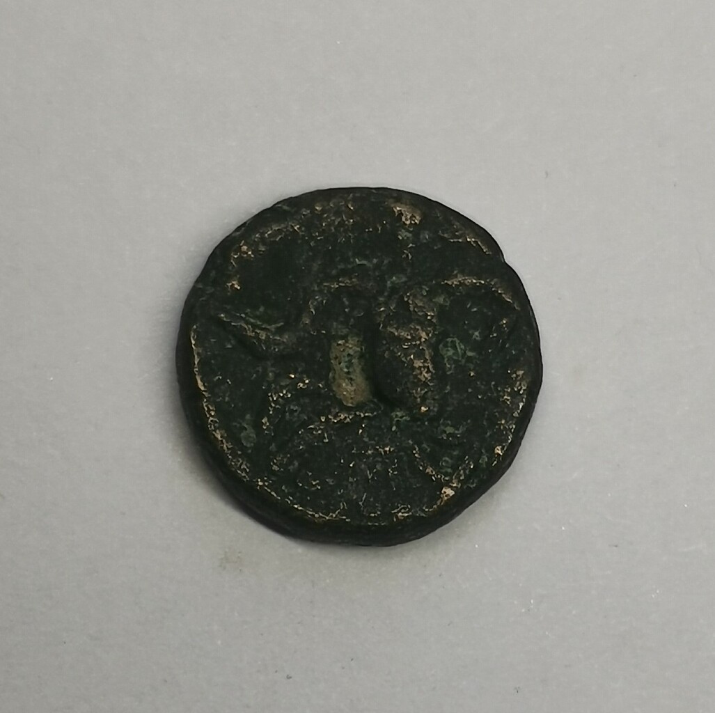 Боспор · Denarius · II в., реверс, Государственное бюджетное учреждение культуры Краснодарского края "Краснодарский государственный историко-археологический музей-заповедник им. Е.Д. Фелицына"