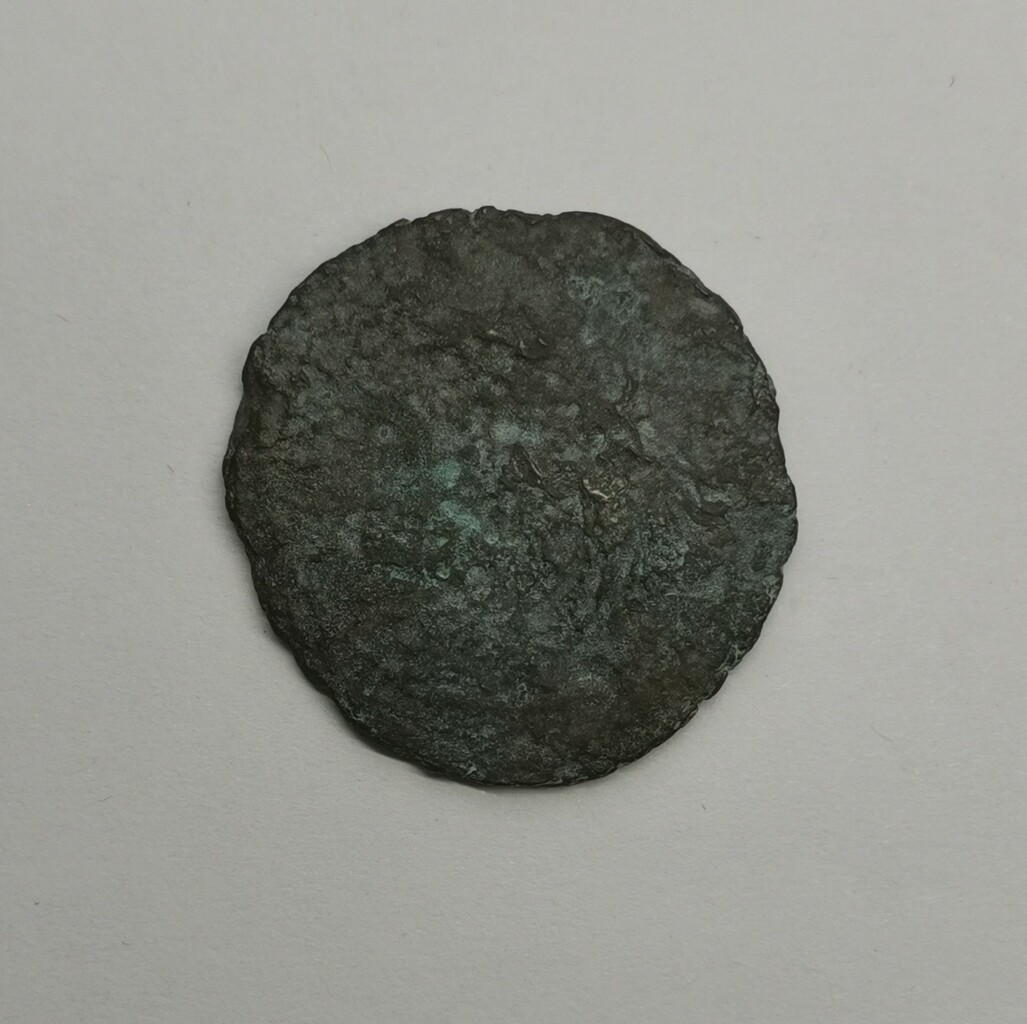 coin rev