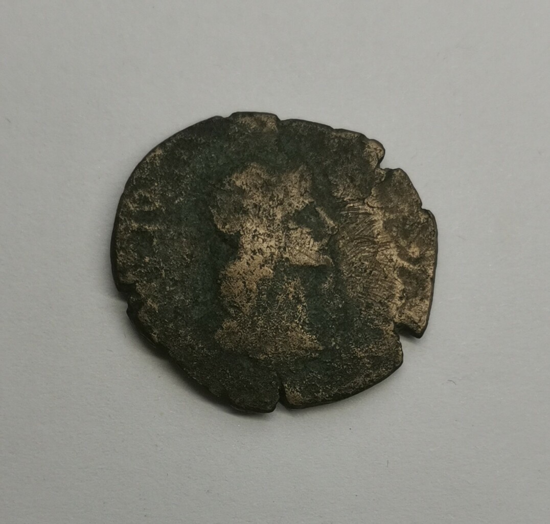 Боспор · Sestertius · I в., аверс, Государственное бюджетное учреждение культуры Краснодарского края "Краснодарский государственный историко-археологический музей-заповедник им. Е.Д. Фелицына"