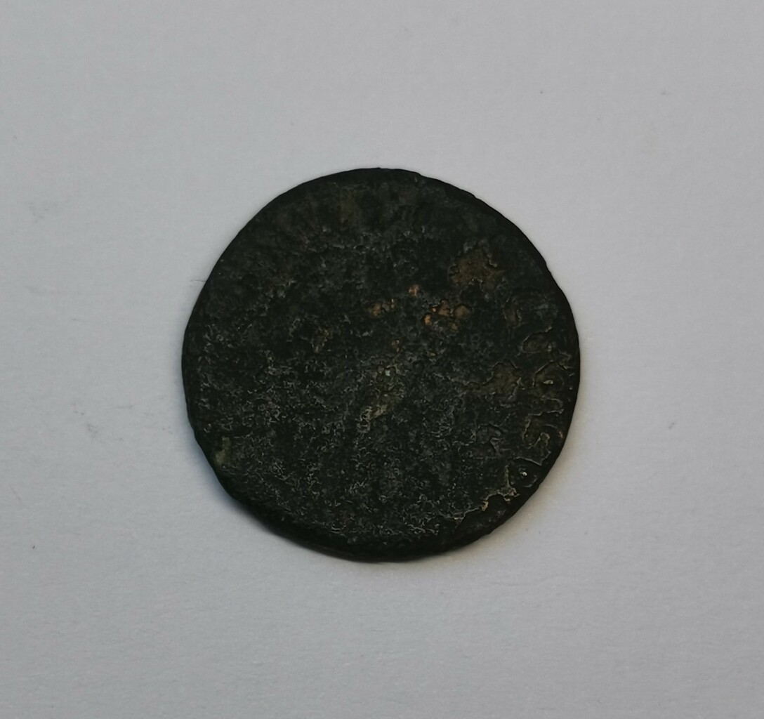 coin rev