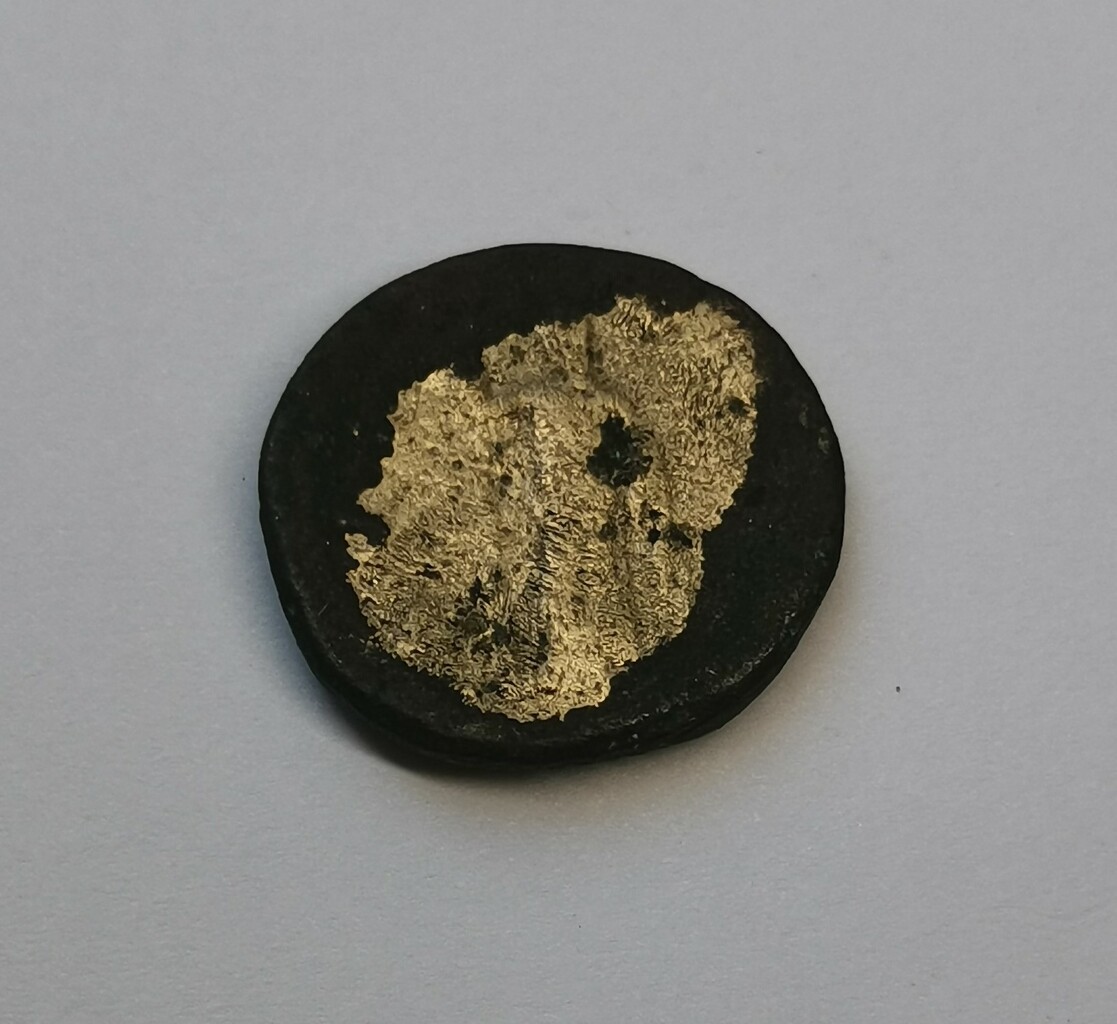 coin rev