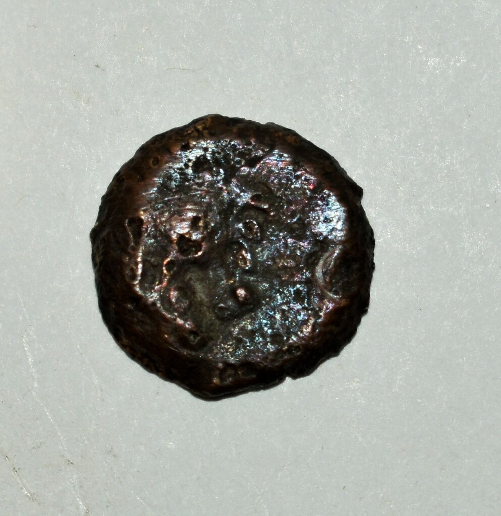 Античная монета · Panticapaeum · II в. · без определения, аверс, Государственное бюджетное учреждение культуры Краснодарского края "Краснодарский государственный историко-археологический музей-заповедник им. Е.Д. Фелицына"