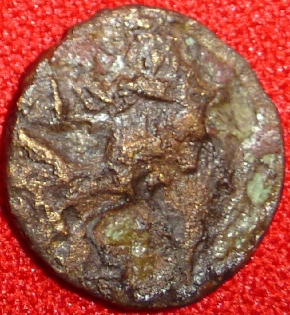 coin rev