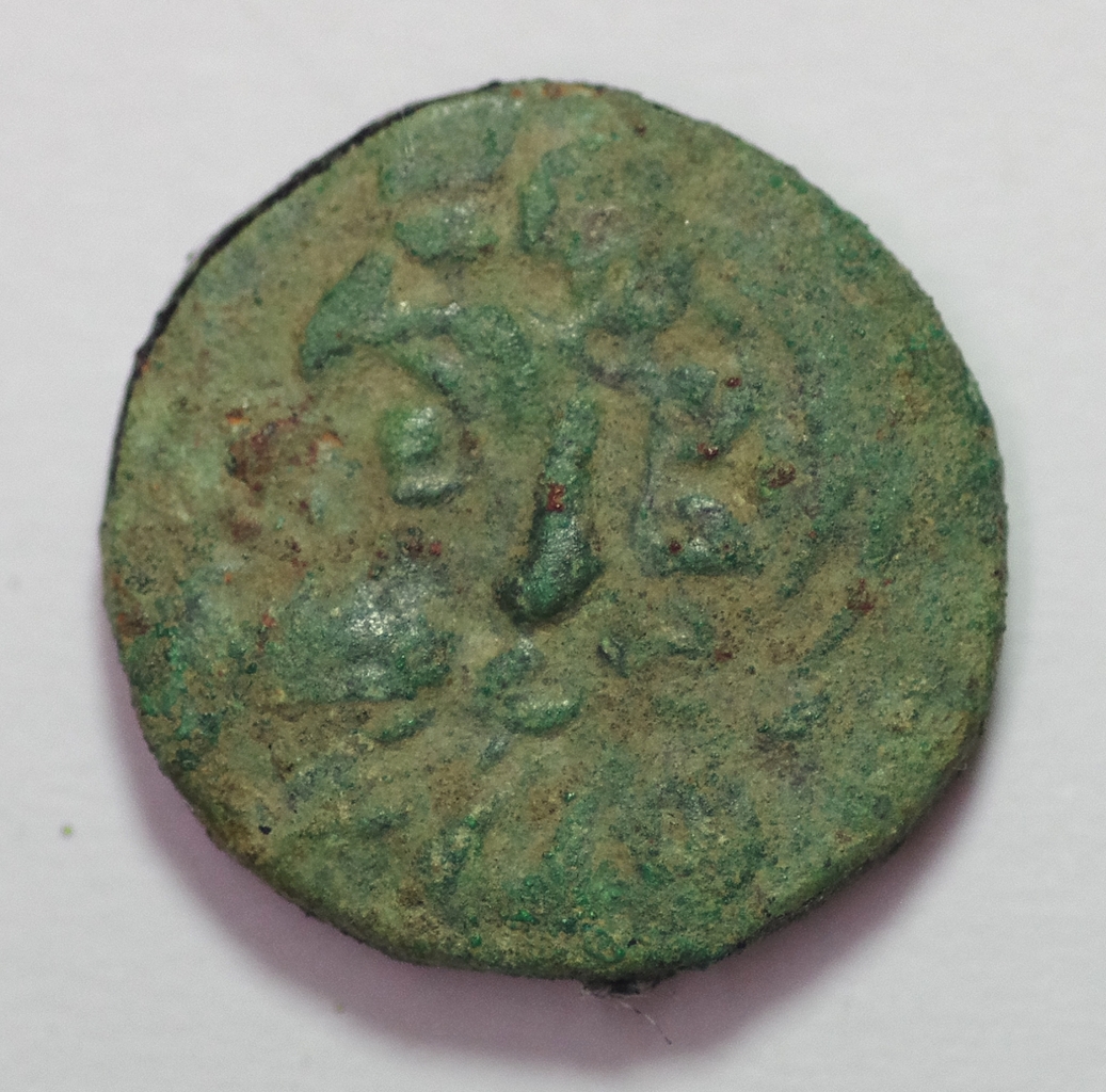 coin rev