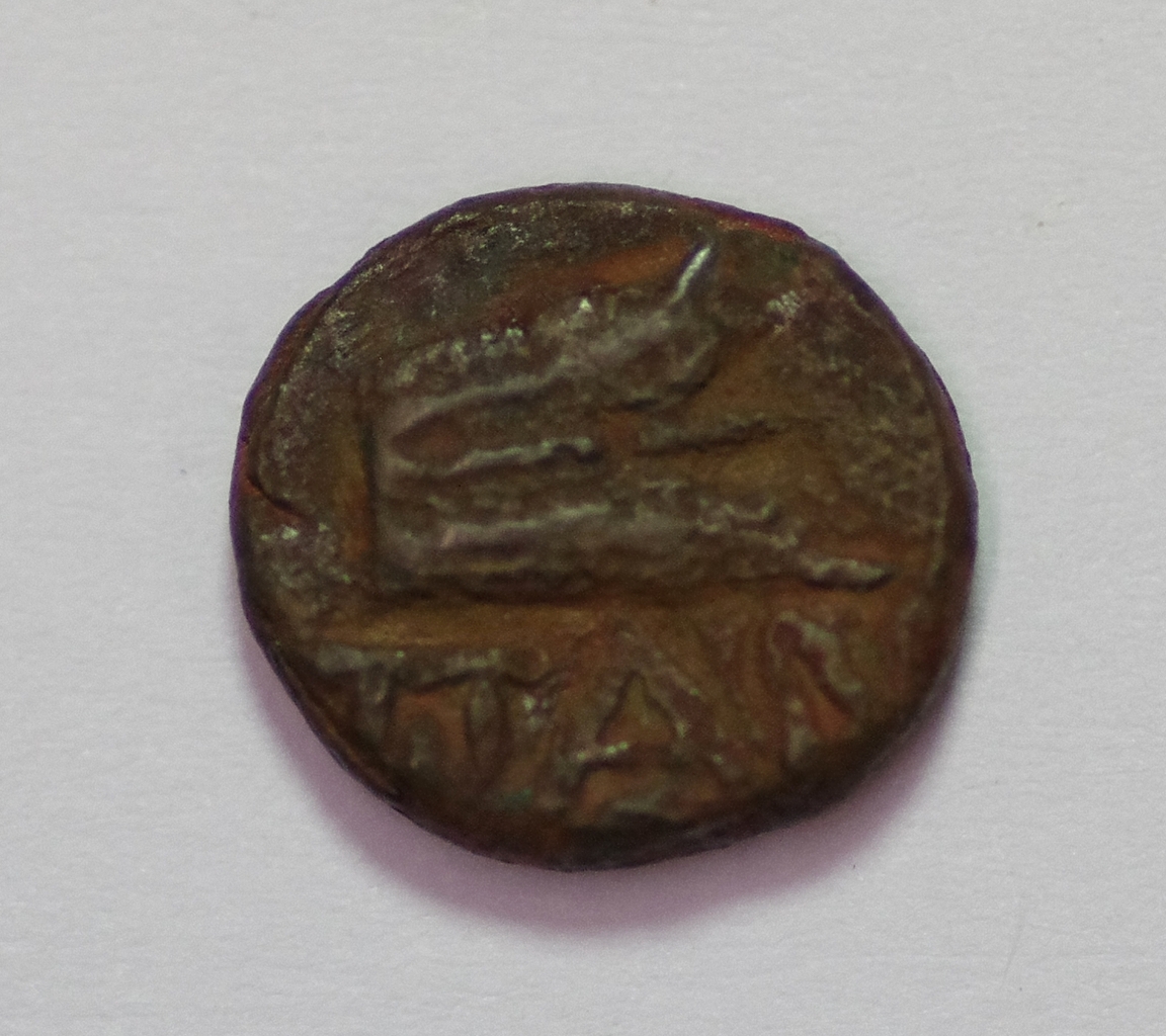 Краснодарский государственный историко-археологический музей-заповедник им. Е.Д. Фелицына · неопределённые, реверс, Краснодарский государственный историко-археологический музей-заповедник им. Е.Д. Фелицына