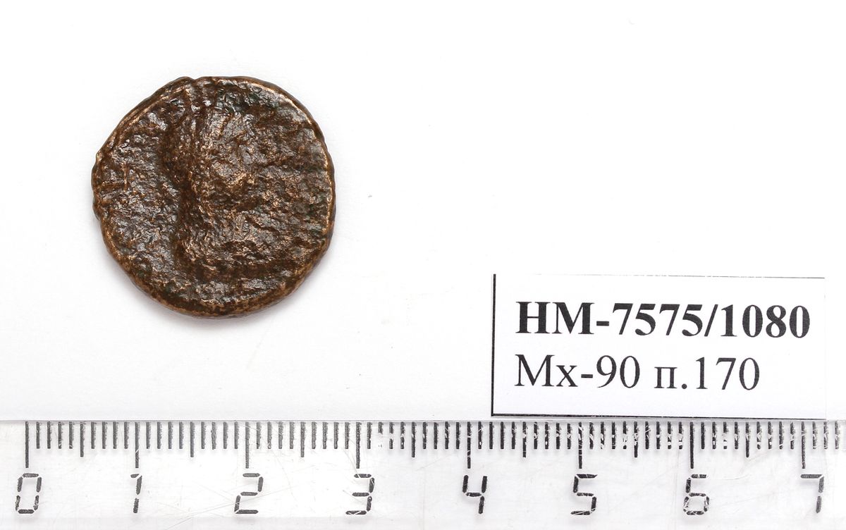 Боспор · Denarius · I в., аверс, Государственное бюджетное учреждение культуры Краснодарского края "Новороссийский исторический музей-заповедник"