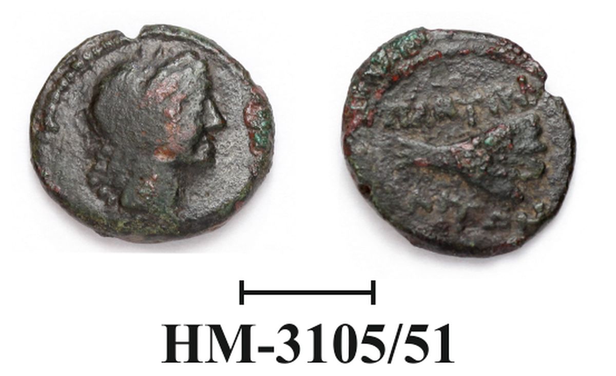 coin obv