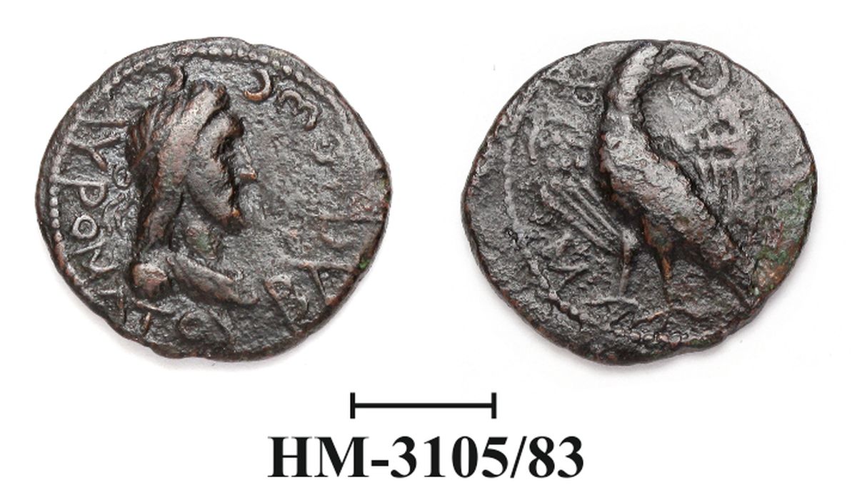 Боспор · Drachma · I в., Государственное бюджетное учреждение культуры Краснодарского края "Новороссийский исторический музей-заповедник"