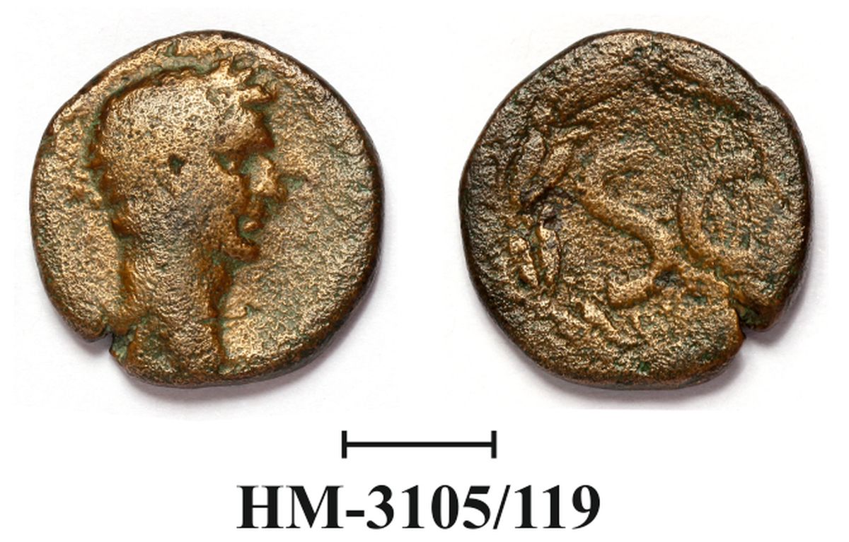 Римская империя · Sestertius · I в., Государственное бюджетное учреждение культуры Краснодарского края "Новороссийский исторический музей-заповедник"