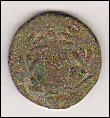Боспор · Sestertius · I в., реверс, Муниципальное бюджетное учреждение "Крымский краеведческий музей" Крымского городского поселения Крымского района
