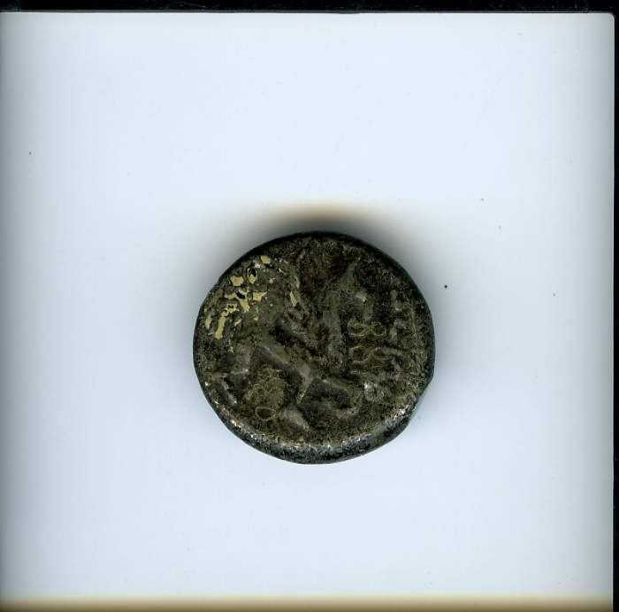 аверс Херсонес · Chersonesus cariae · II в. до н. э. · без определения