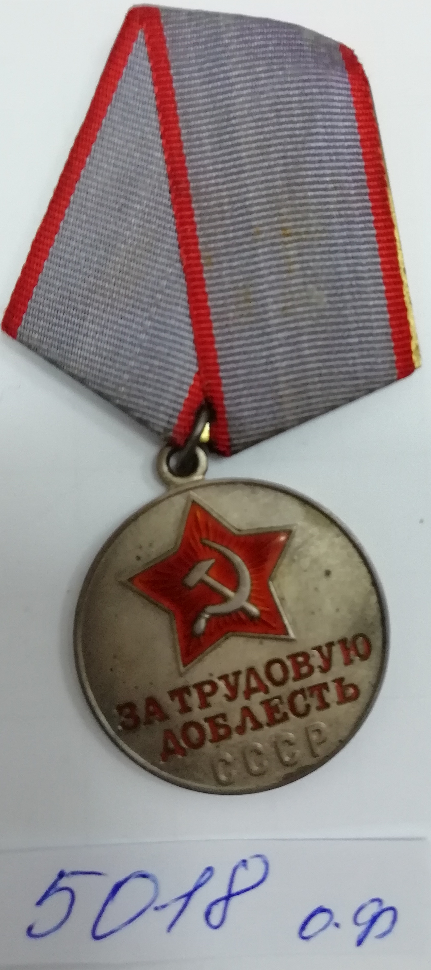 Областной краеведческий музей · неопределённые, Областное государственное бюджетное учреждение культуры "Областной краеведческий музей"